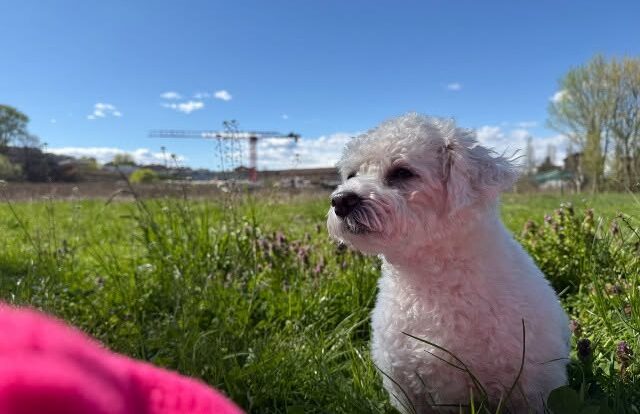 Ricky este din nou acasă!