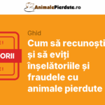 Cum să recunoști și să eviți înșelătoriile și fraudele cu animale pierdute