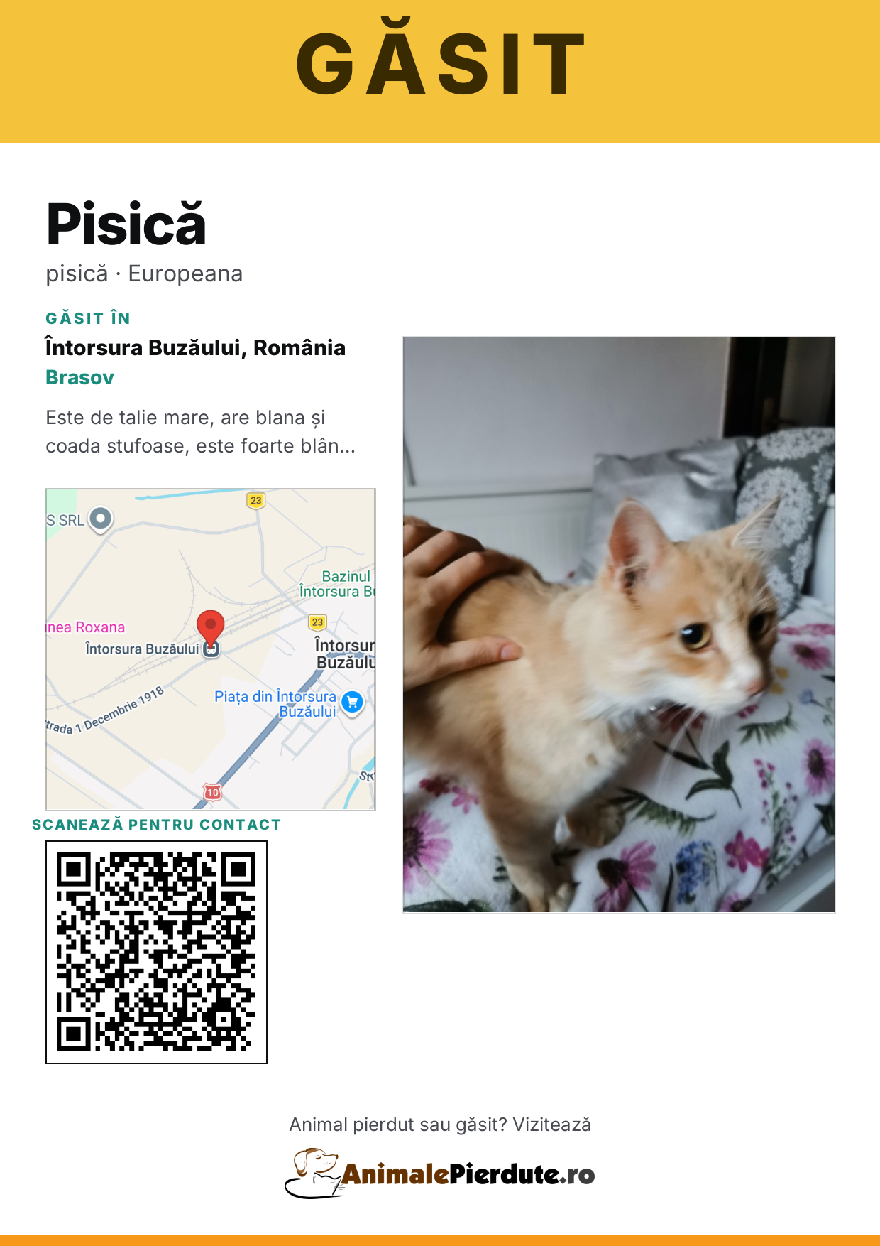 Afiș imprimabil