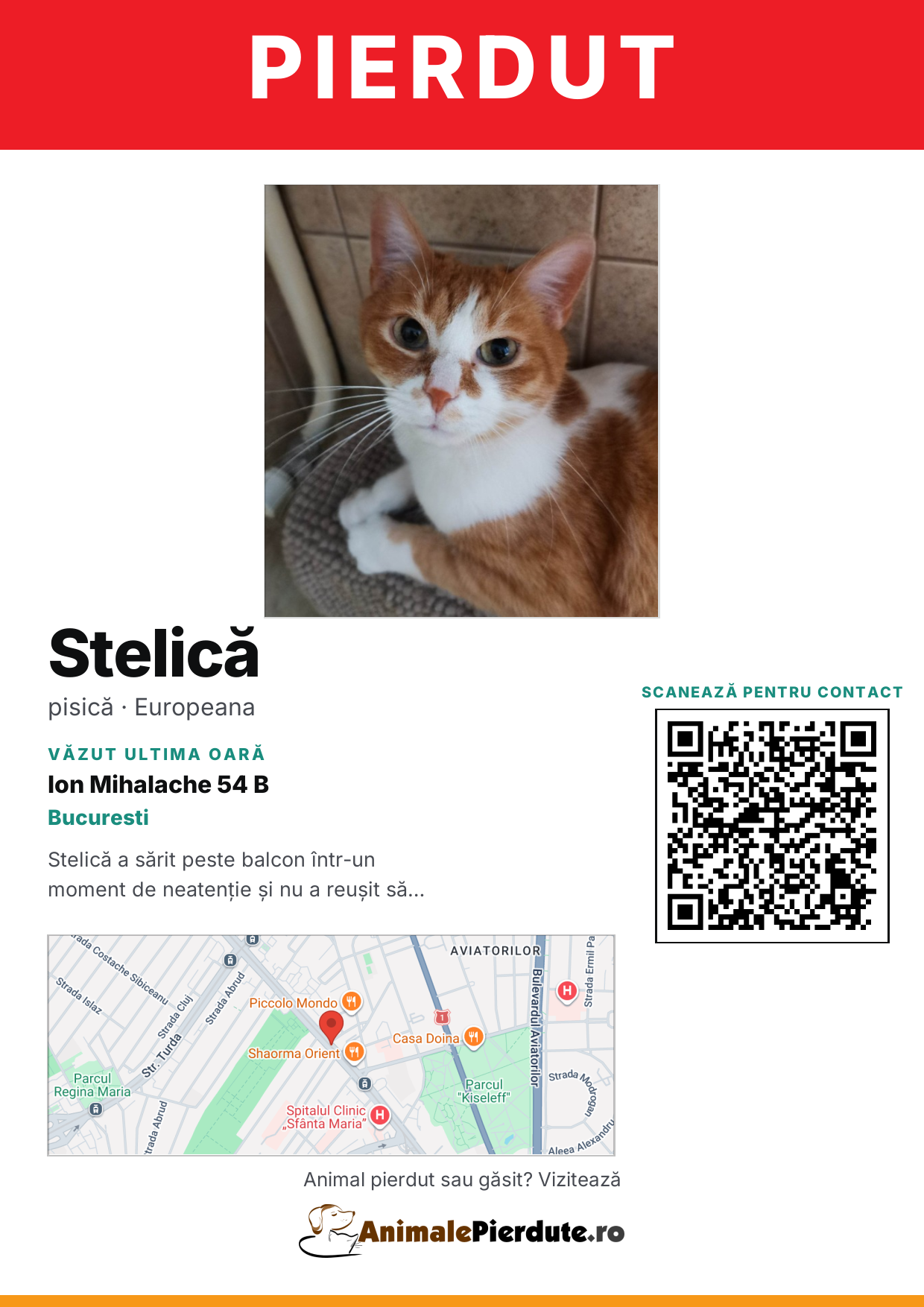 Afiș imprimabil