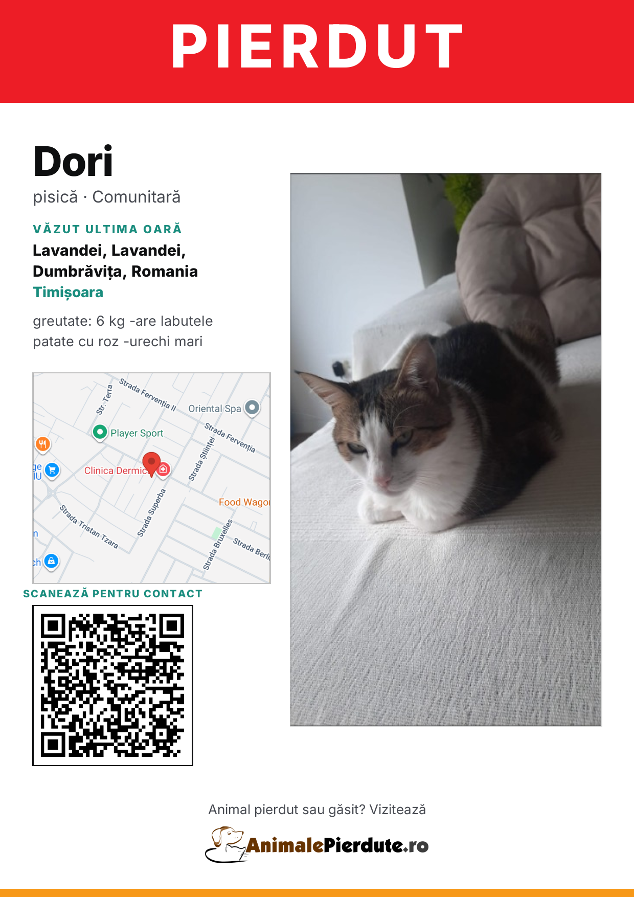 Afiș imprimabil