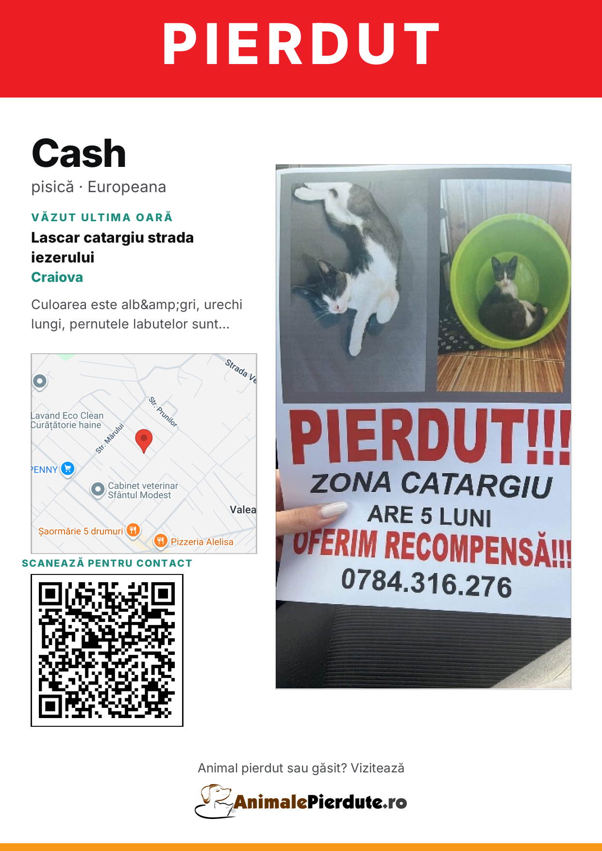 Afiș imprimabil