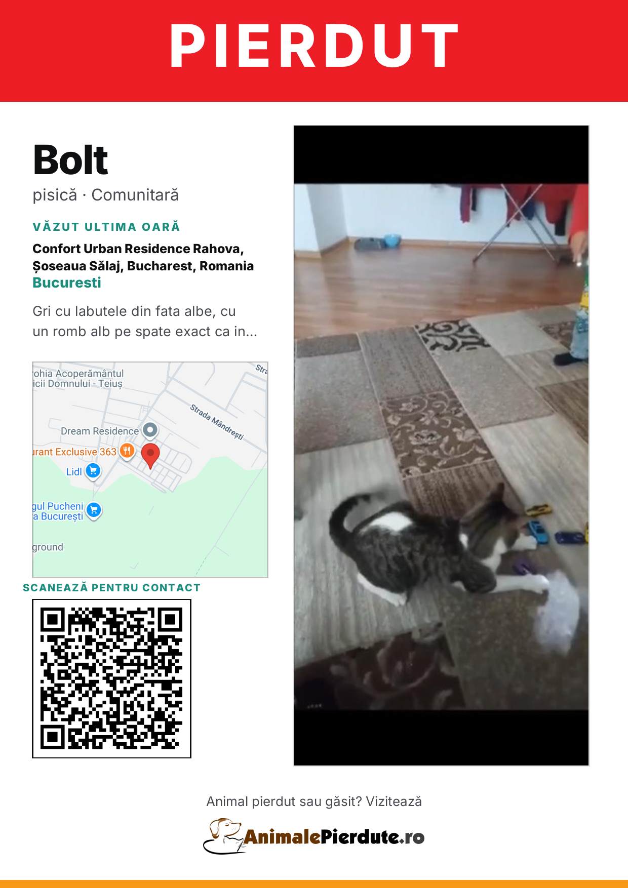 Afiș imprimabil