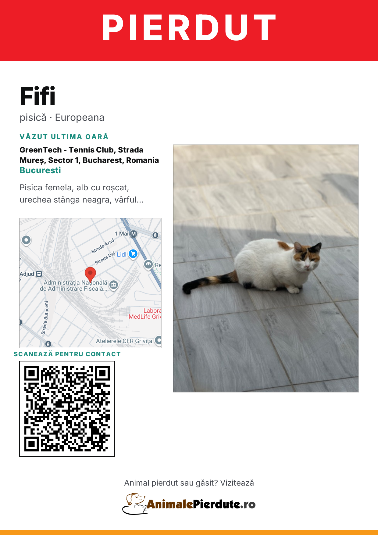 Afiș imprimabil