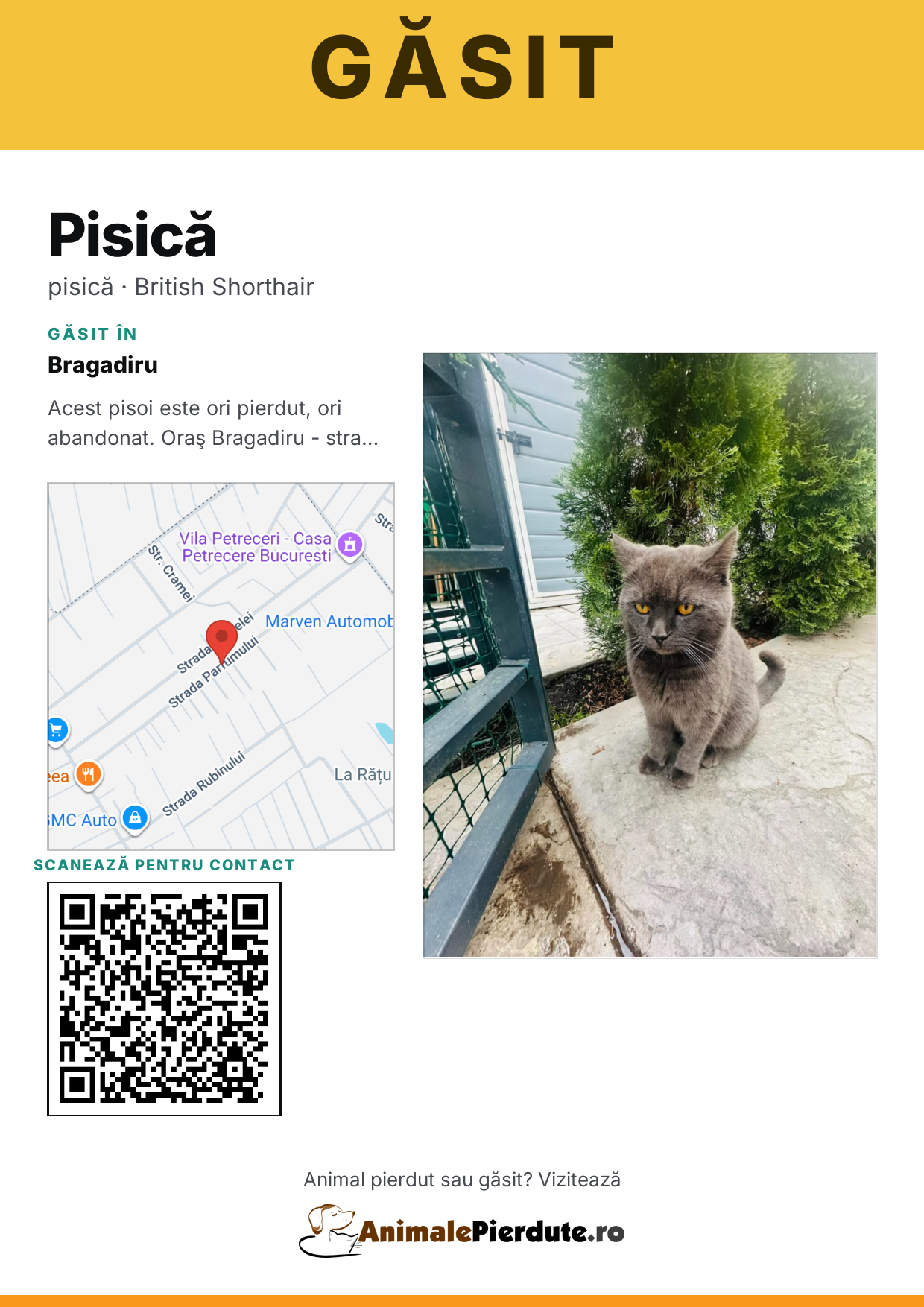 Afiș imprimabil