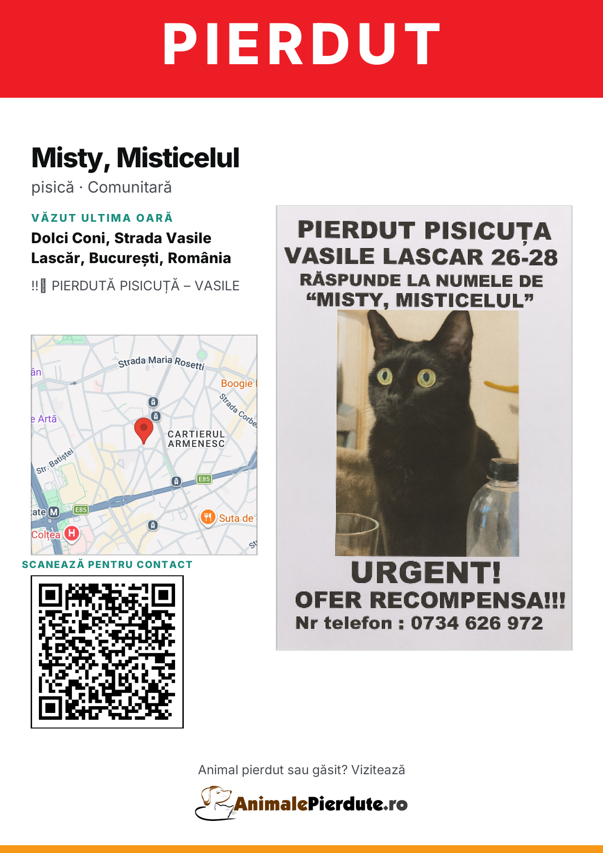Afiș imprimabil