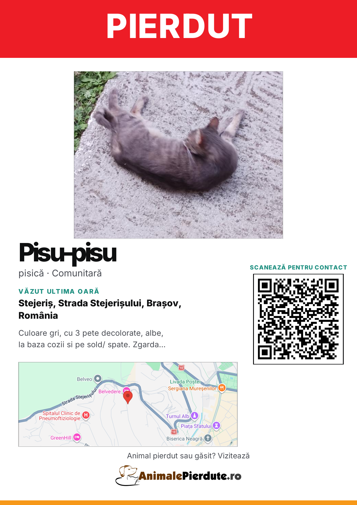 Afiș imprimabil