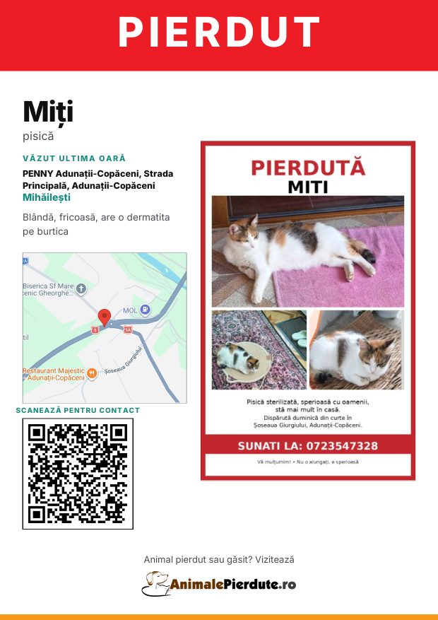Afiș imprimabil