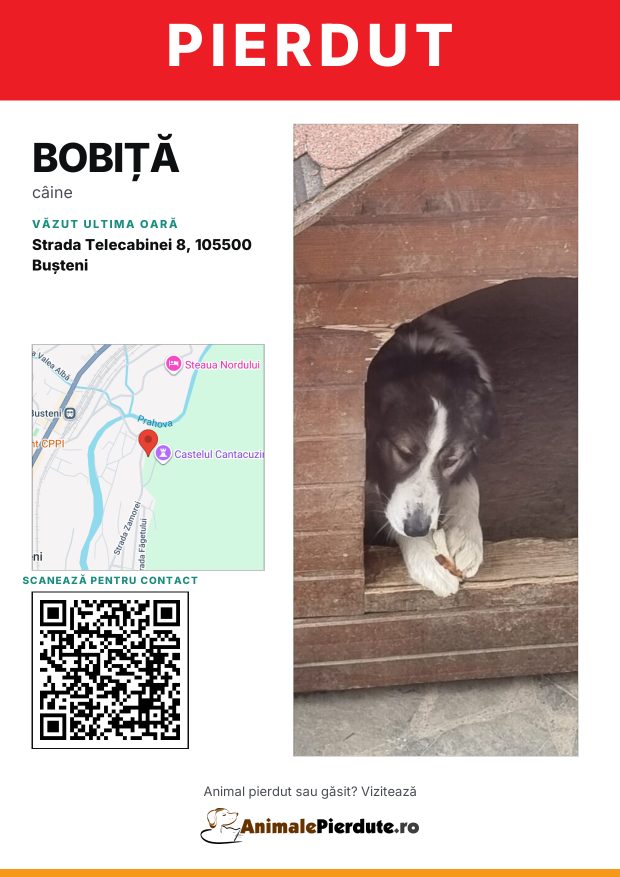Afiș imprimabil